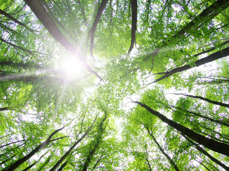 Business unusual: align government, finance and corporate actions