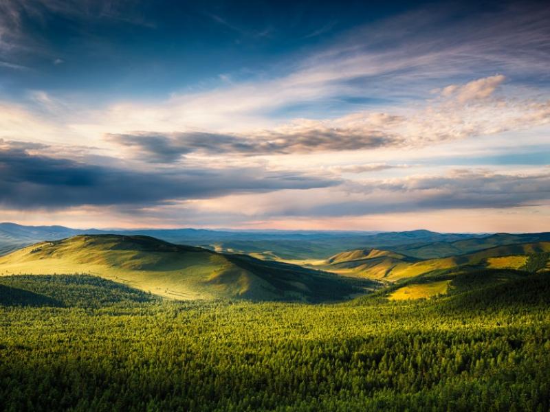 Mongolia, UN-REDD's first non-tropical country, develops its national Forest Reference Level