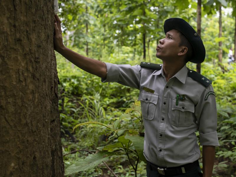  Working Together to Save Myanmar’s Forests