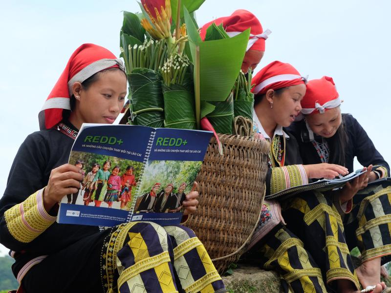 Viet Nam becomes the first country in Asia-Pacific to fulfill the Warsaw Framework for REDD+