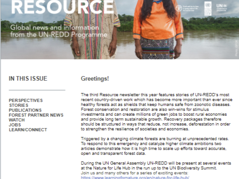 The Third Resource Newsletter now available!