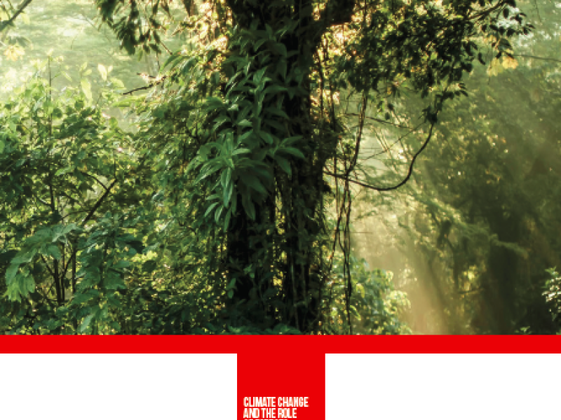 Enroll for the REDD+ Academy Now!