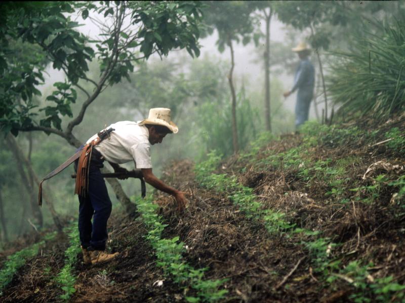 Central American Countries Improve Forest Monitoring Techniques - Honduras Shares Experiences from t