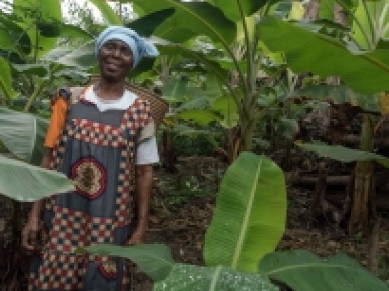 Equatorial Guinea launches its REDD+ National Investment Plan