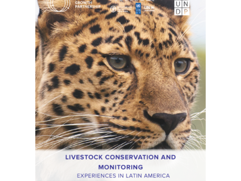 Livestock Conservation and Monitoring; Experiences in Latin America