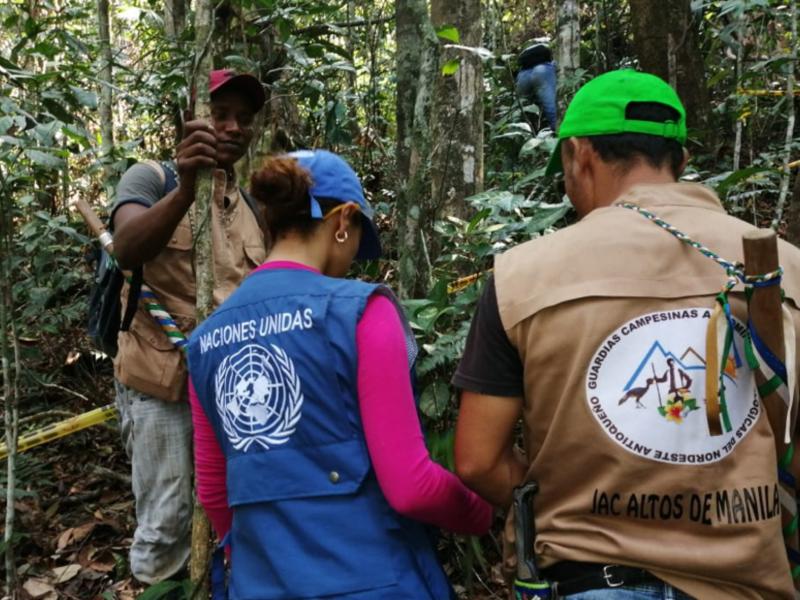 Establishment of temporal plots for forest inventory in the municipality of Remedios, Antioquia