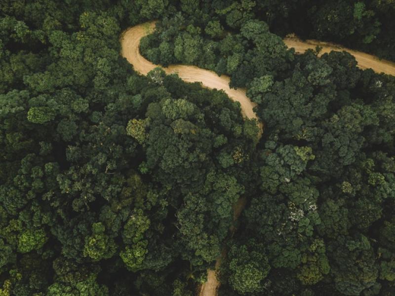 Women’s Leadership in Sustainable Finance in Honduras