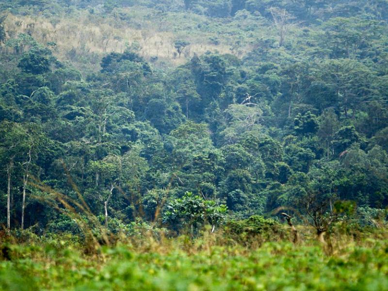 Lessons learned in the process of engaging and structuring civil society participation in the nation