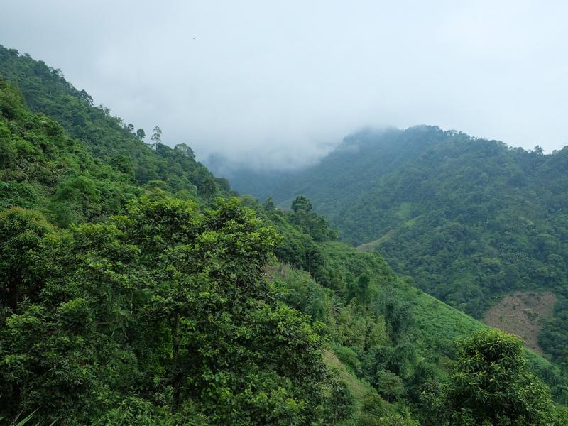 Ecuador launches REDD+ RBP project to restore deforested and degraded areas