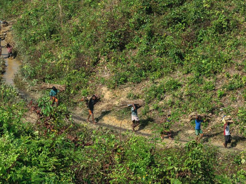 Beyond REDD+: New applications of developed NFMS and Remote Sensing tools