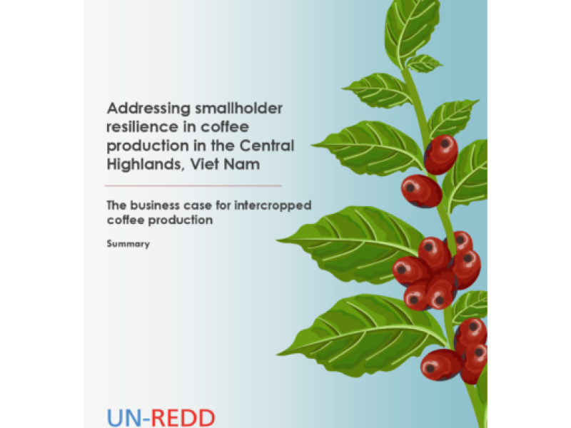 Addressing smallholder resilience in coffee production in the Central Highlands, Viet Nam