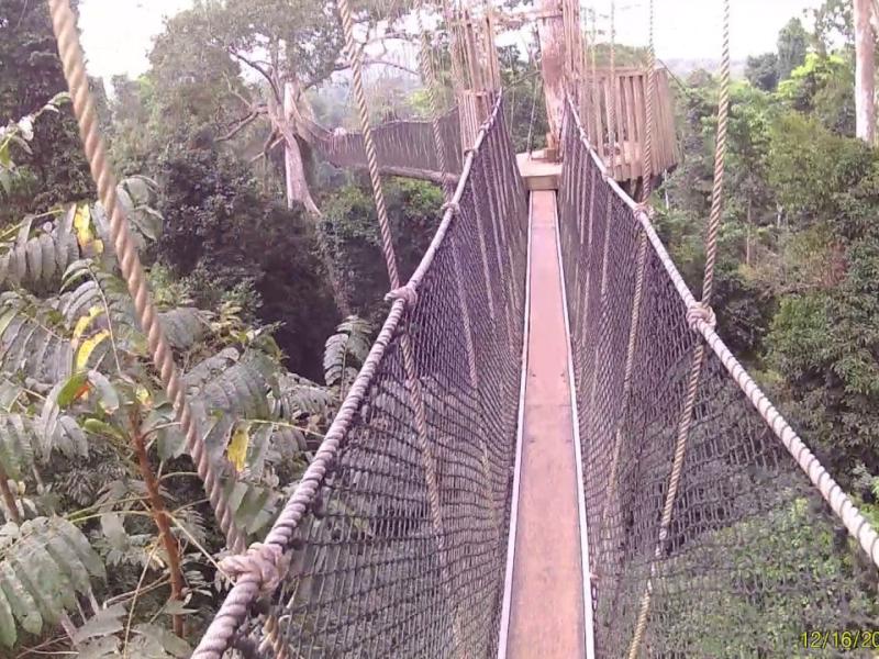 Ghana Launches a New Partnership for its National REDD+ Strategy