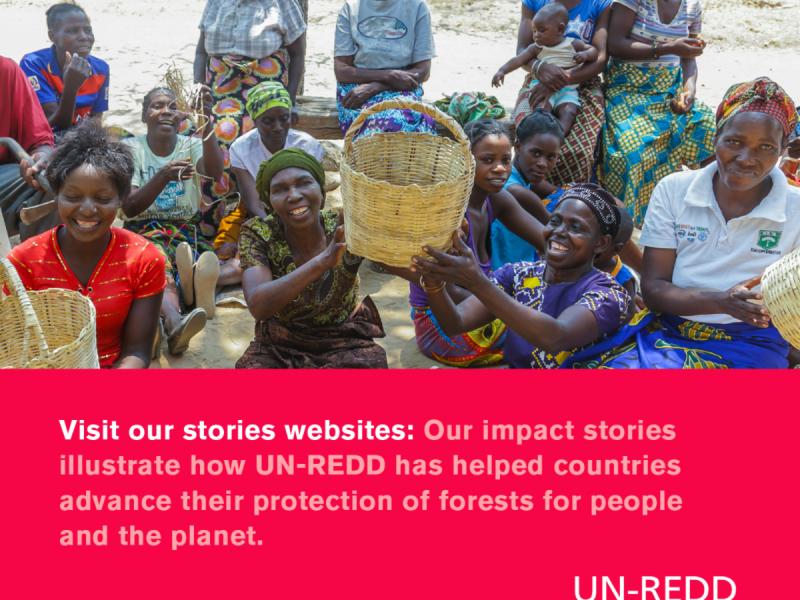 UN-REDD Stories page now available!