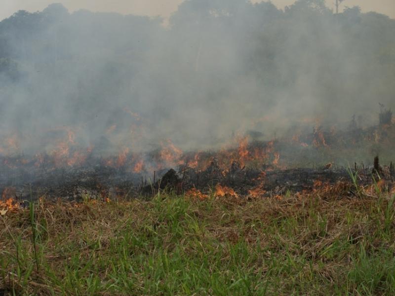 ​​Peatland fires and the resulting air pollution are a worry to local people and neighbouring states. The approaching dry season is usually the highest-risk time for wildfire spread