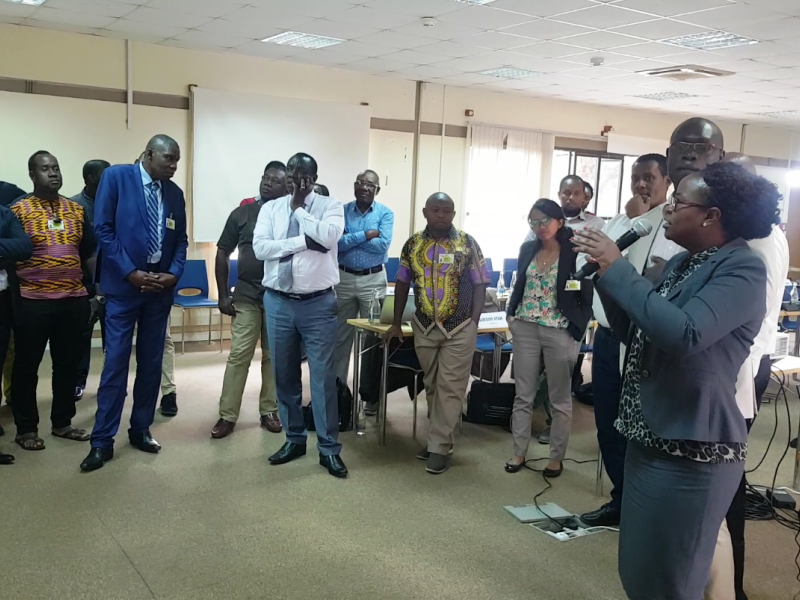 11 Africa countries exchange knowledge on Jurisdictional REDD+ during the 2018 UN-REDD Regional Exch