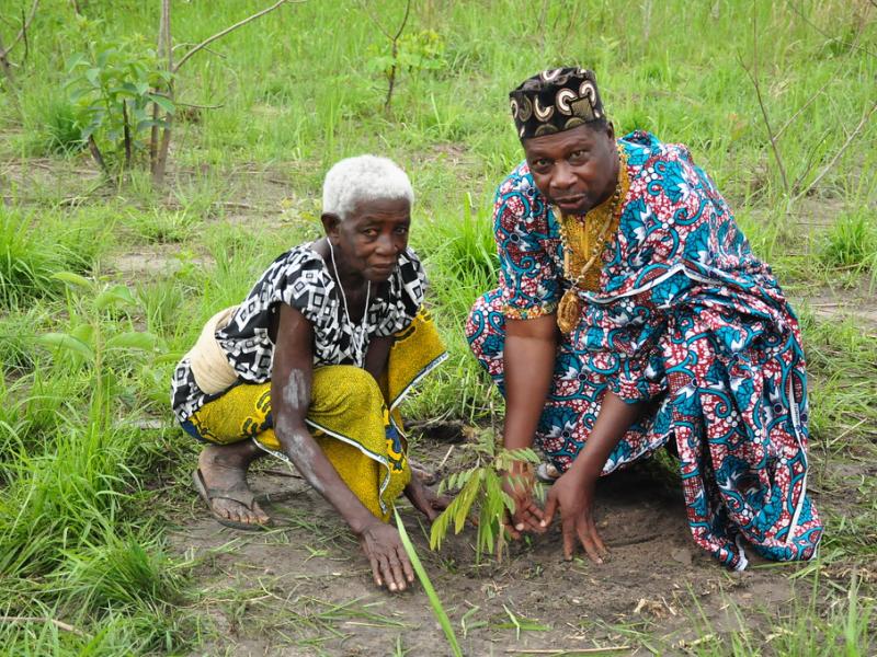 Restoring our degraded Planet