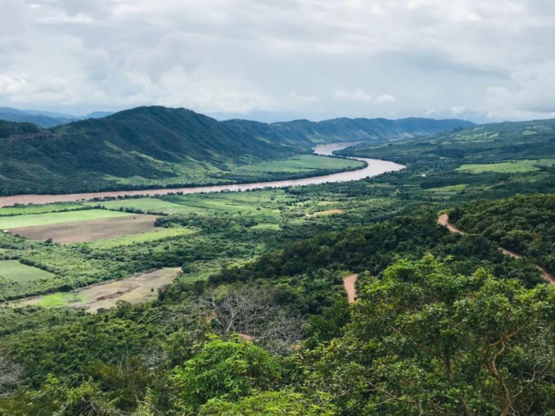 The Amazon rainforest in San Martin, Peru where the key, permanent crops are coffee and cocoa. In 2017, deforestation reached 155.914 hectares, with 60% of deforestation taking place in Ucayali, Madre de Dios, Huánuco and Loreto.