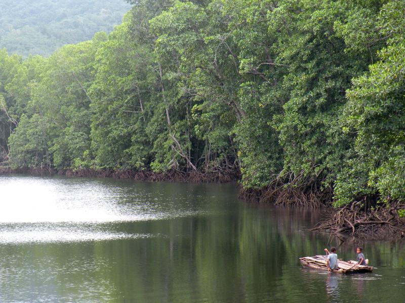 Papua New Guinea’s REDD+ journey