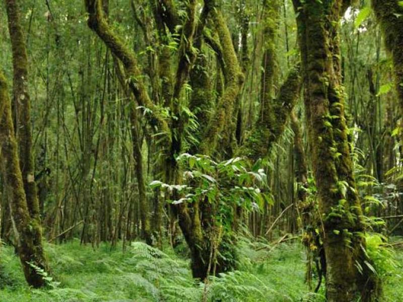 Ethiopia: An Oasis in the Horn