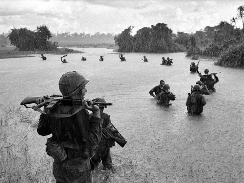 The impact of conflicts on peatland conservation