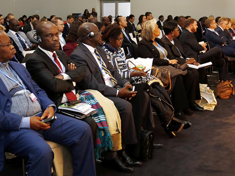 Ready for the next phase: REDD+ implementation!