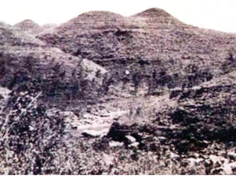 Image 1: The impact of family forestry on land restoration in Java