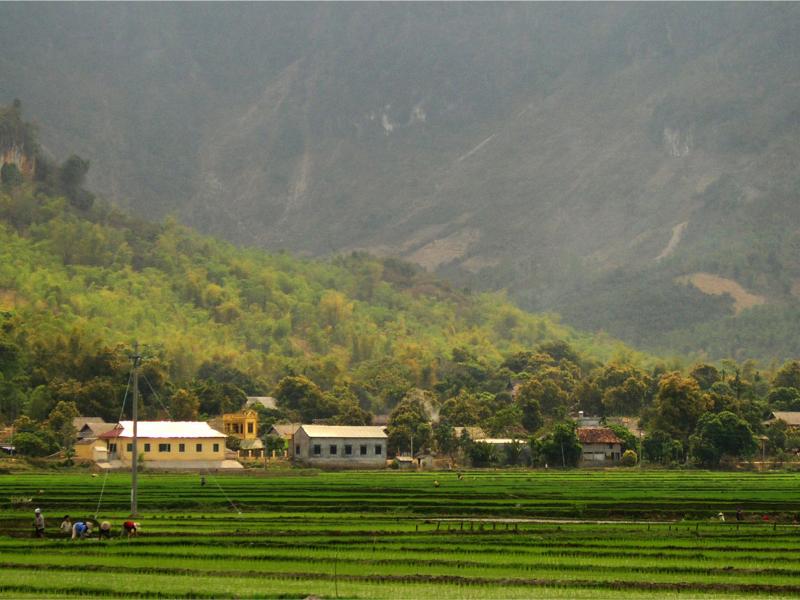 Realising the landscape approach through REDD+ planning