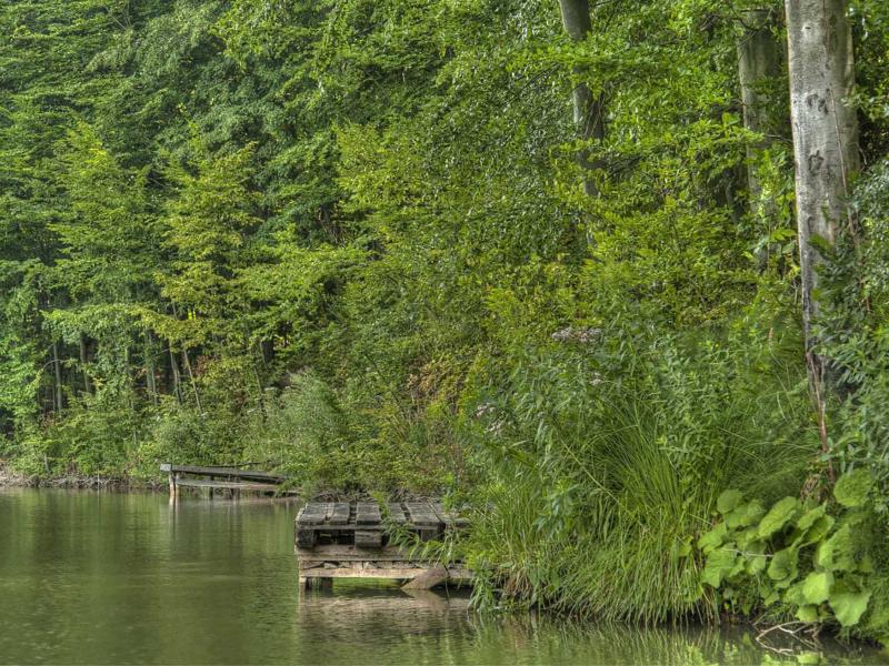 Integrating sustainable supply chain initiatives and REDD+ finance