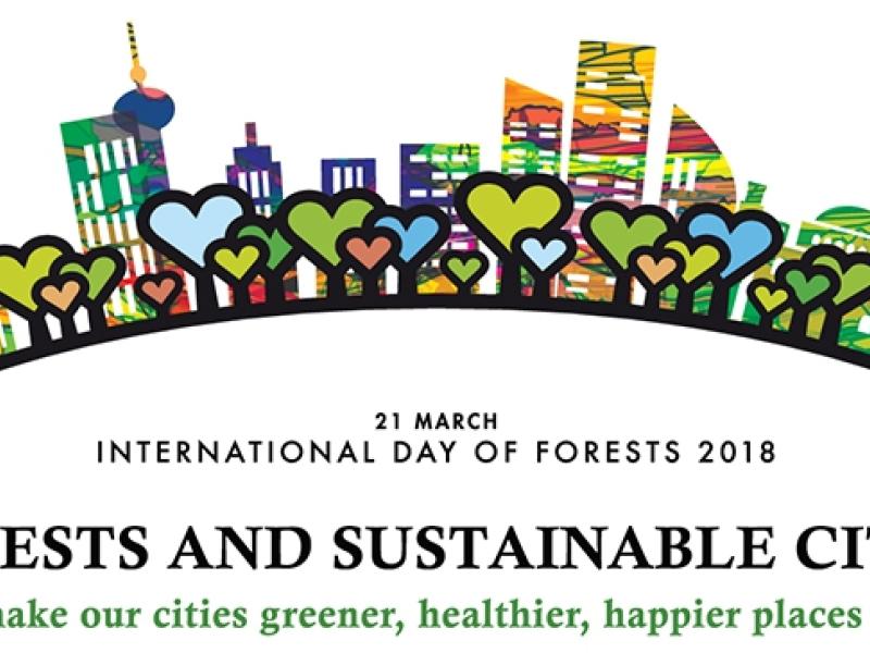 Global partnerships can preserve forests and create sustainable cities