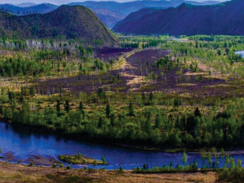 Recognising the value of Mongolia’s boreal forests