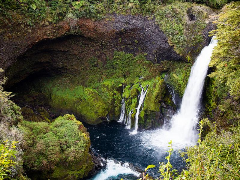 A Chilean community restores forests to increase water flow