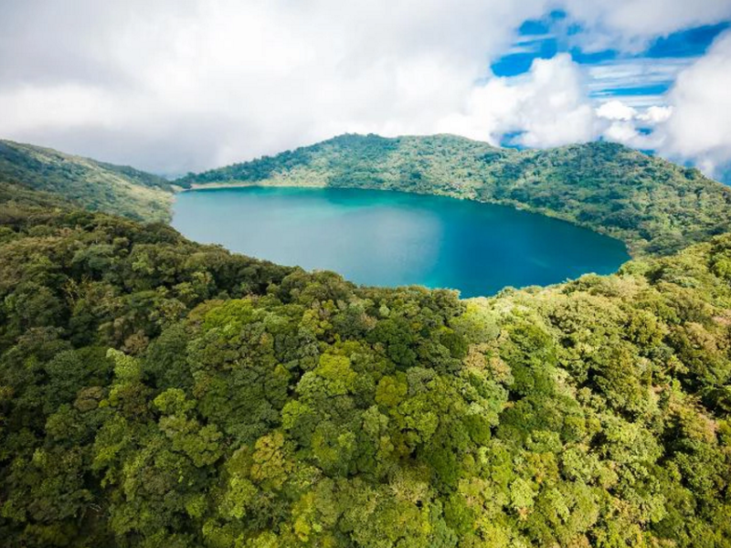 Financing for REDD+ and sustainable forest management needs to influence the private sector