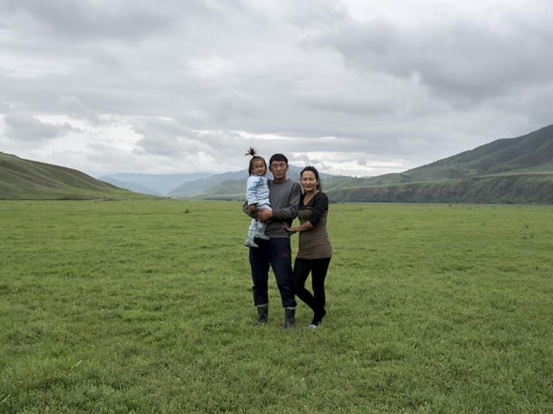 The importance of Mongolia's boreal forests