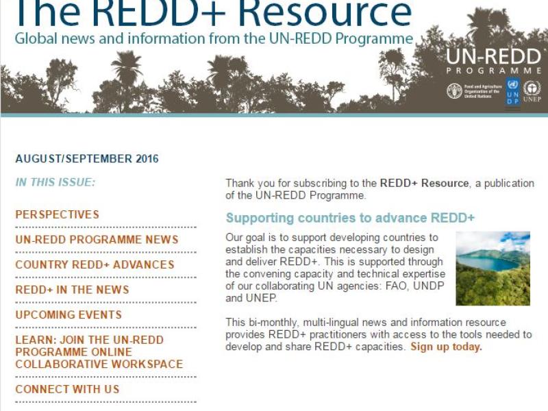 New issue of the REDD+ Resource now available!