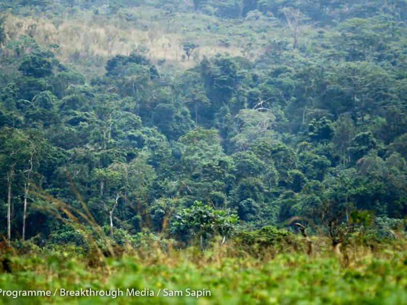 A Congolese success story: Part 1 - Perseverance and government ownership