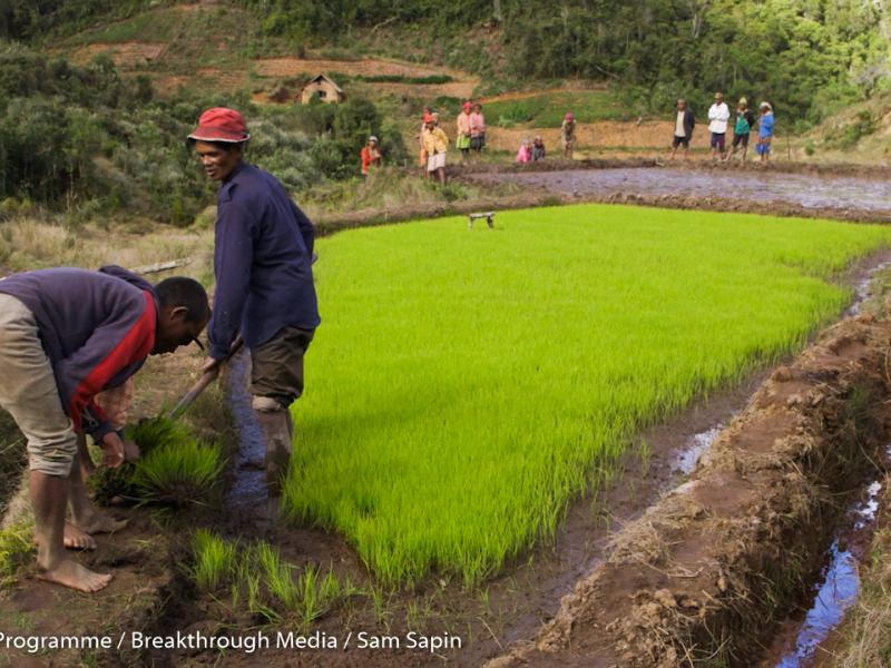 It’s okay to talk about tenure: UN-REDD Programme countries take the lead in addressing a complex is