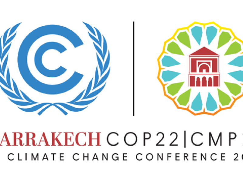 Visit our COP22 Forest Event Hub!