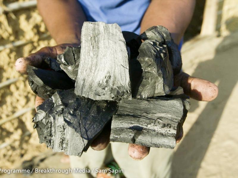 The Dark Side of the Forest