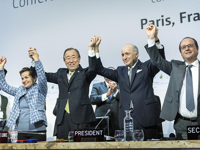 Forests and REDD+ recognized as key components of landmark climate deal agreed in Paris