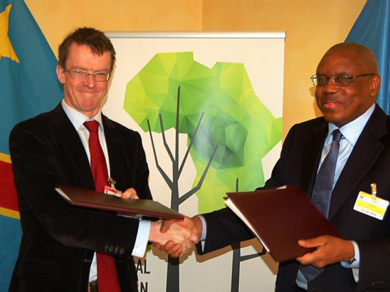 US$ 200 million agreement between CAFI and DRC set to prevent tree loss and ensure sustainable devel