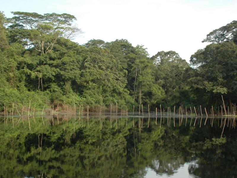 Peat fires stoke global warming