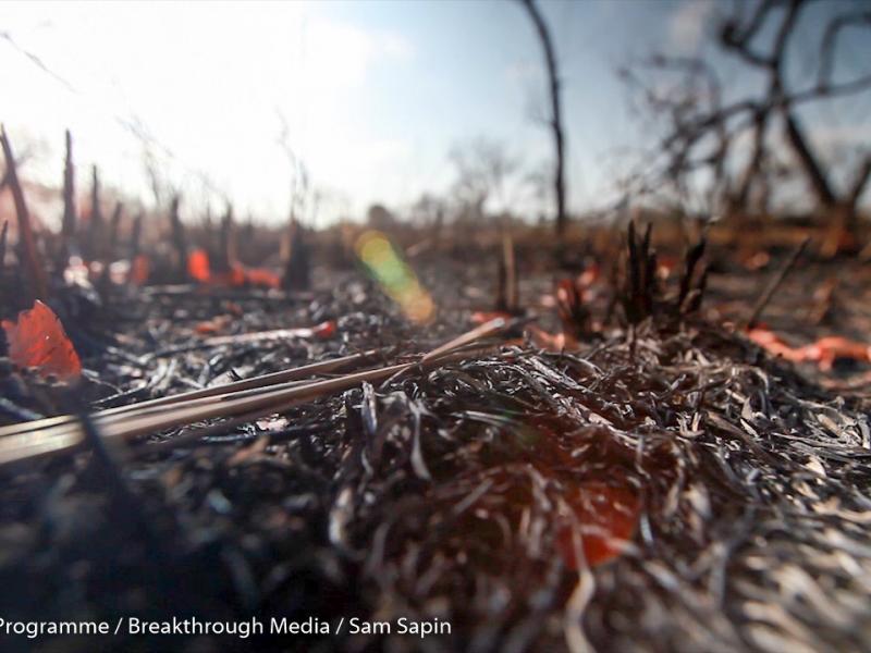 Pricing the priceless