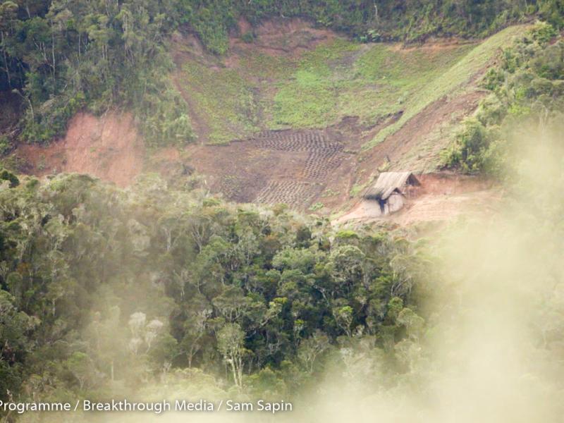 The power of an enabling environment for REDD+ Action