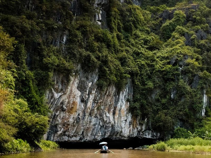 Economic opportunities from sustainable natural forest management