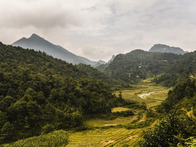 REDD+ Academy officially included in the training curriculum of Viet Nam’s National University of Fo