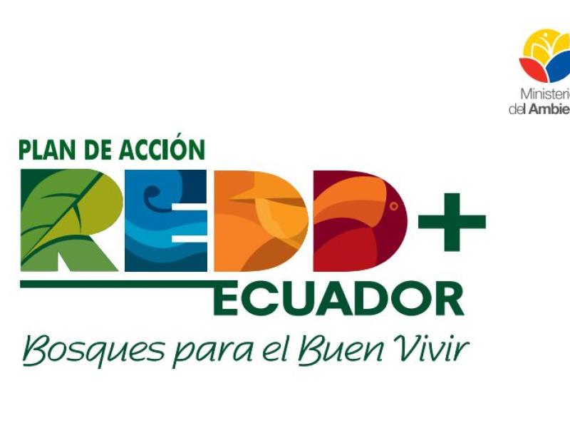 Ecuador approves REDD+ action plan