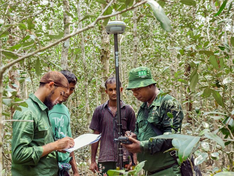 Forest monitoring