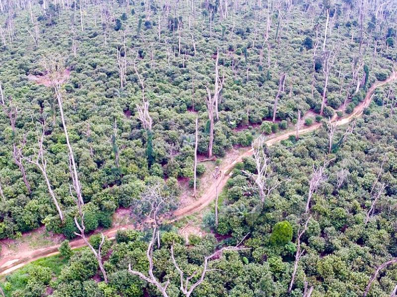 A Congolese success story: Part 2 - Perseverance and government ownership