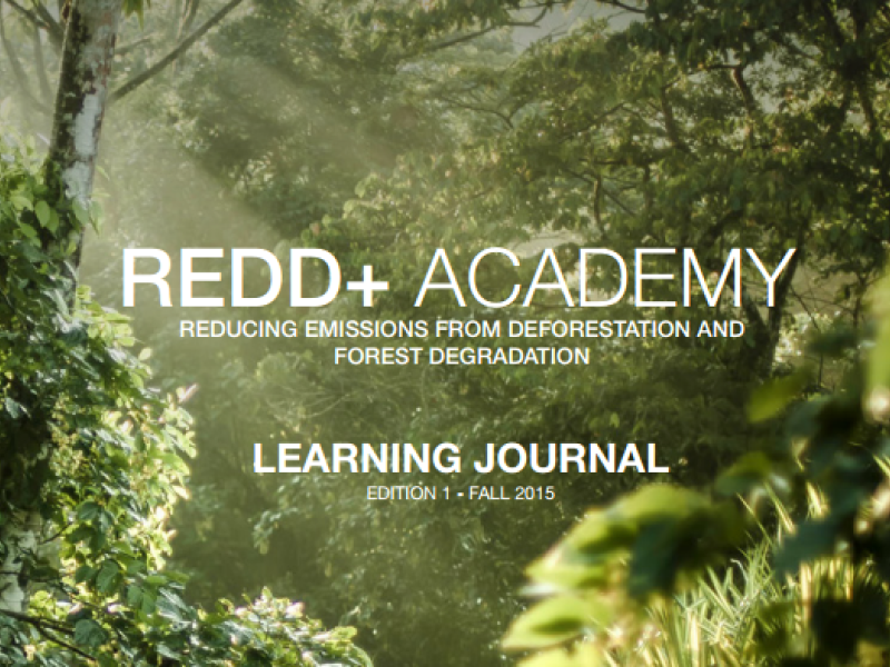 Call for contributions: Revision of REDD+ Academy Learning Journals
