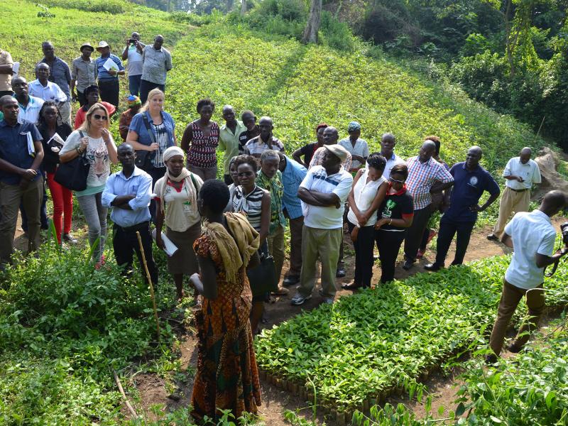 REDD+ National Academies offer a new start for REDD+ processes at country level: The case of Uganda